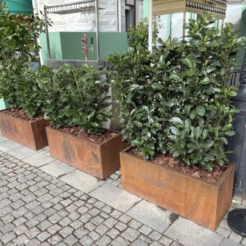 Plantenbak Corten 7 Plantenbak Corten is een favoriet bij architecten en tuinontwerpers vanwege zijn stoere uitstraling, duurzame materiaal en veelzijdige toepassing.